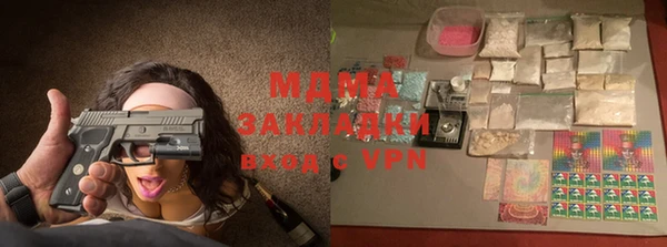 шишки Белокуриха