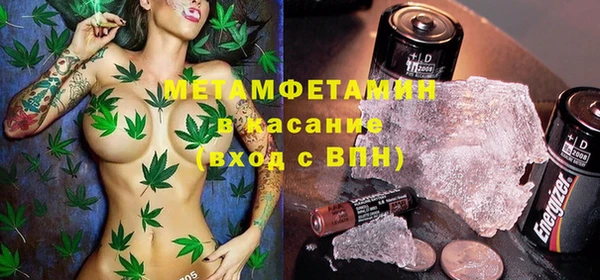 шишки Белокуриха