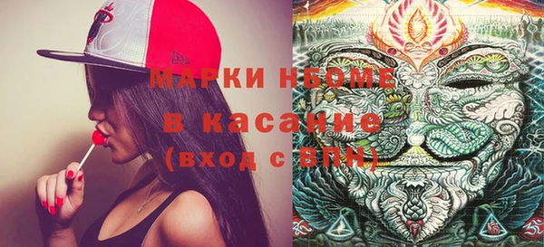 шишки Белокуриха