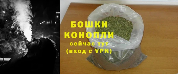 шишки Белокуриха