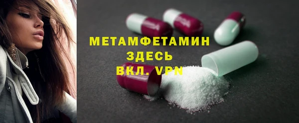 шишки Белокуриха