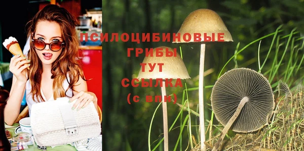 шишки Белокуриха