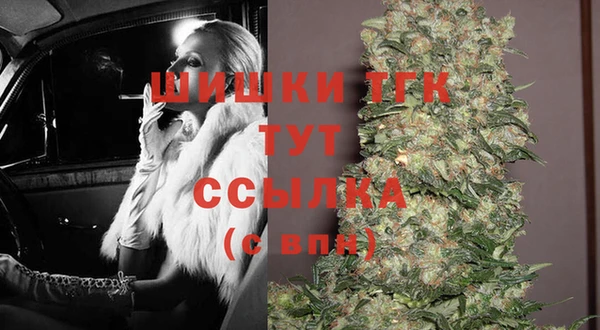 шишки Белокуриха