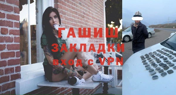 шишки Белокуриха