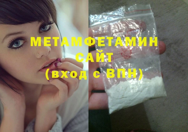 шишки Белокуриха