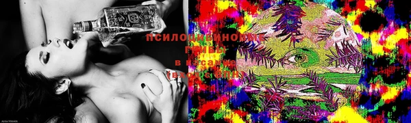 шишки Белокуриха
