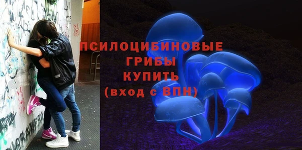 ALPHA PVP Беломорск