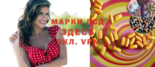 шишки Белокуриха