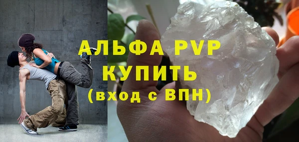 шишки Белокуриха