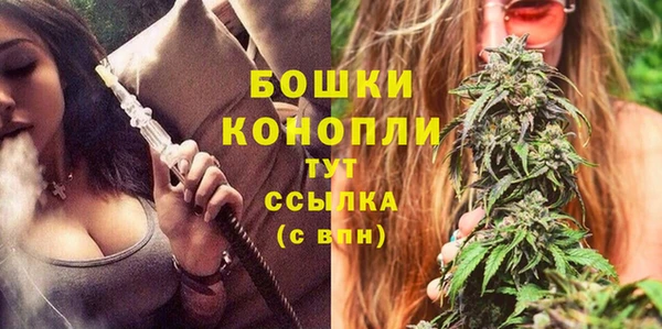 шишки Белокуриха