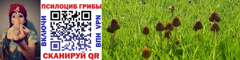 Галлюциногенные грибы GOLDEN TEACHER  где продают   Ворсма 